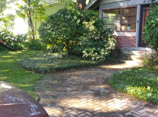 Bush Trimming by Mike Diaz for Esha S. in Orlando, FL