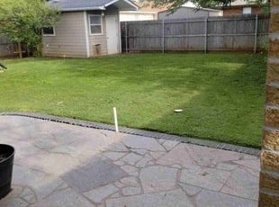 Angela T.'s Lawn Mowing Service service result