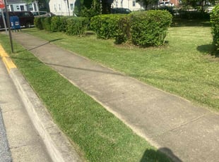 Bush Trimming by Dennis Joyner for Tanya L. in Hyattsville, MD