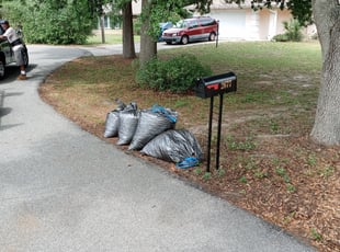 Leaf Removal by Eric Jones for Darryl S. in Deltona, FL