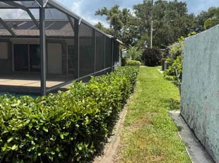 Bush Trimming by Steven Templeton for Kathy A. in Venice, FL