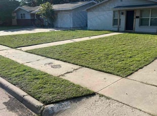 Angelia Z.'s Lawn Mowing service result