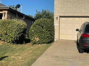 Bush Trimming by Alejandro Colchado for Jimmie P. in Round Rock, TX