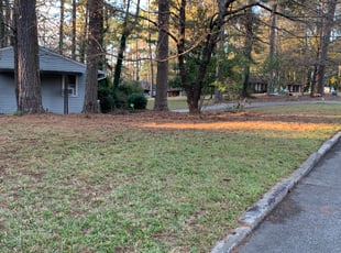 Leaf Removal by Trent Fields for Anita C. in Atlanta, GA