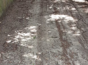 Leaf Removal by Jeff Owen for Ruben C. in Jan Phyl Village, FL