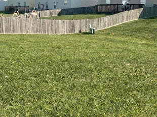 Sue S.'s Lawn Care service result