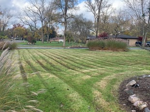 Leaf Removal by Maurice Hicks for Charles G. in Bloomfield Hills, MI