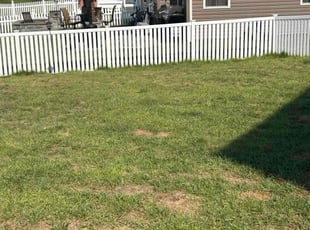 Cleanups by Robert Hatton for Anthony J. in Fredericksburg, VA