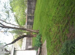 Bush Trimming by Aundra Thomas for Jeanette J. in Arlington, TX