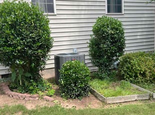 Bush Trimming by Danh Nguyen for Bryan E. in Cary, NC
