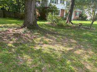 Cleanups by David Paczkowski for Cheryl A. in Richmond, VA