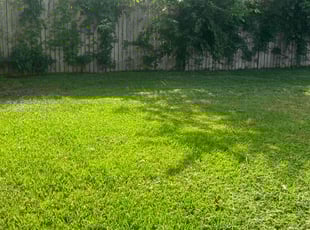 Mr. R.'s Yard Cutting service result