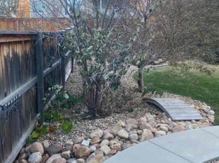 Leaf Removal by Connor Andrew for David T. in Parker, CO