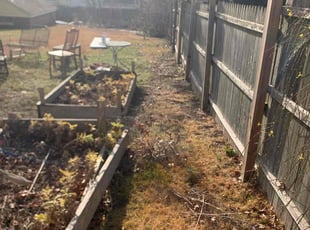 Leaf Removal by Tyler Isaacs for Rex G. in Washington, DC
