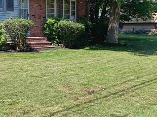 Zelene D.'s Lawn Service service result