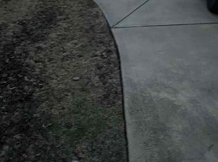 Bush Trimming by Luis & yeni Hernandez for Robert D. in Waxhaw, NC