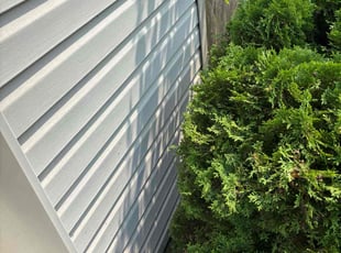 Bush Trimming by Howard Jackson for Marshall R. in Plainfield, NJ