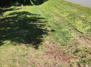 Cleanups by Vincent Guzman for GLORIA C. in Richmond, VA