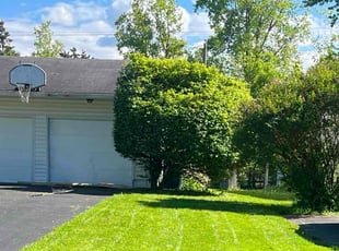Bush Trimming by Darnell Williams for Valarie A. in Rochester, NY