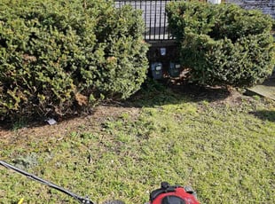 Jan H.'s Lawn Mowing Service service result