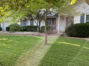 Bush Trimming by John Mumphrey for OCTAVIO S. in Creve Coeur, MO