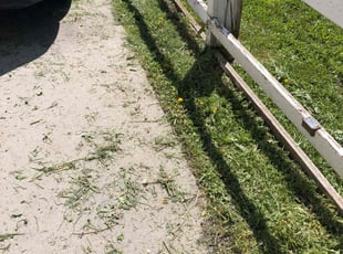 Jacquelyn P.'s Lawn Maintenance service result