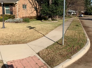 Cleanups by Jose Caracheo for Michael T. in Dallas, TX