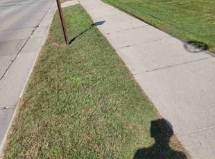 Julie R.'s Lawn Mowing service result