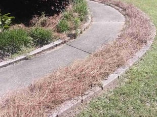 Landscaping by Enrique Juarez for Alisha B. in Woodstock, GA