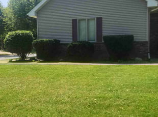 Bush Trimming by Howard Breunig for Vince H. in Middleton, WI