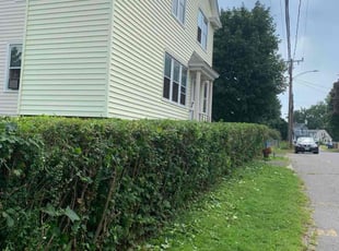 Bush Trimming by Caleb Ferrucci for Jeanette T. in Waterbury, CT
