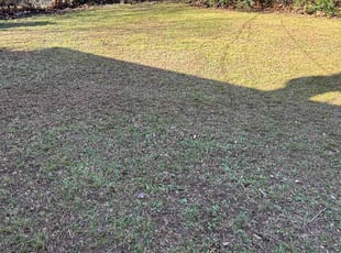 Leaf Removal by Zachary Bright for Antonio R. in Memphis, TN