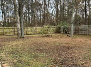 Leaf Removal by Dustin Janes for Adam W. in Charlotte, NC