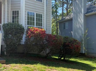 Bush Trimming by C.J. Cooley for Luke E. in Marietta, GA