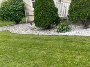Weeding by Allen Sharp for Melissa H. in Warren, OH