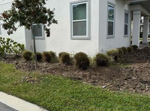 Bush Trimming by Ivan Dilone for Jonathan A. in Orlando, FL
