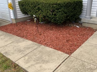 Weeding by Andrew Carpenter for Rosie E. in Reynoldsburg, OH