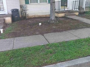 Aeration by Kerwin Mott for Susan S. in Rosedale, MD