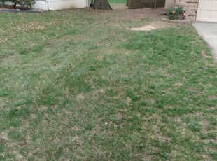 Leaf Removal by James Buchanan for David C. in Kansas City, MO