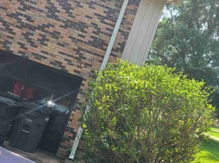 Cleanups by Jabree Smith for Jean M. in Irondale, AL