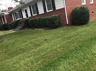 Bush Trimming by Davon Lightfoot for Kevin W. in Richmond, VA