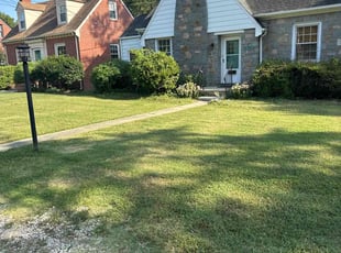 Miranda C.'s Lawn Maintenance service result