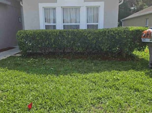 Bush Trimming by Jon Mccormick for James N. in Sanford, FL