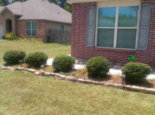 Bush Trimming by Robert Collins for Aaron H. in Covington, LA