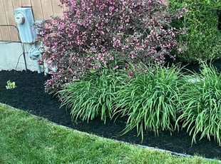 Mulching by Neal Ferris for Lisa C. in Buffalo, NY