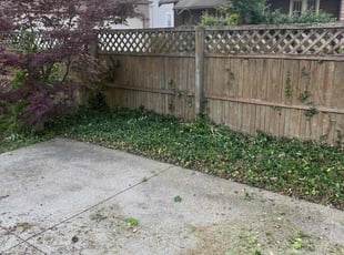Weeding by Tywuan Williams for Zachary T. in Indianapolis, IN