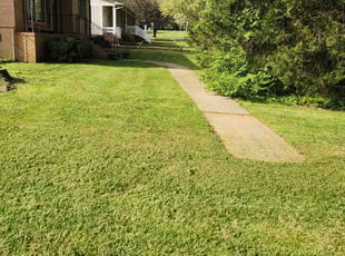 Gary M.'s Lawn Service service result