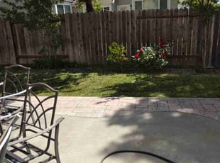 Jesenia R.'s Lawn Care service result