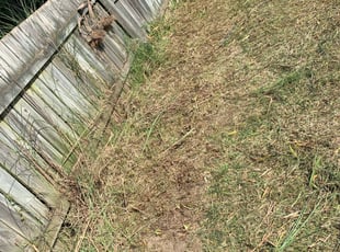 Weeding by Dashawn Willis for Sophie G. in Upper Arlington, OH