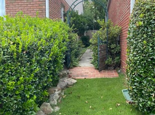 Robert c.'s Yard Cutting service result